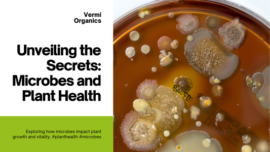 The Role of Microbes in Plant Health