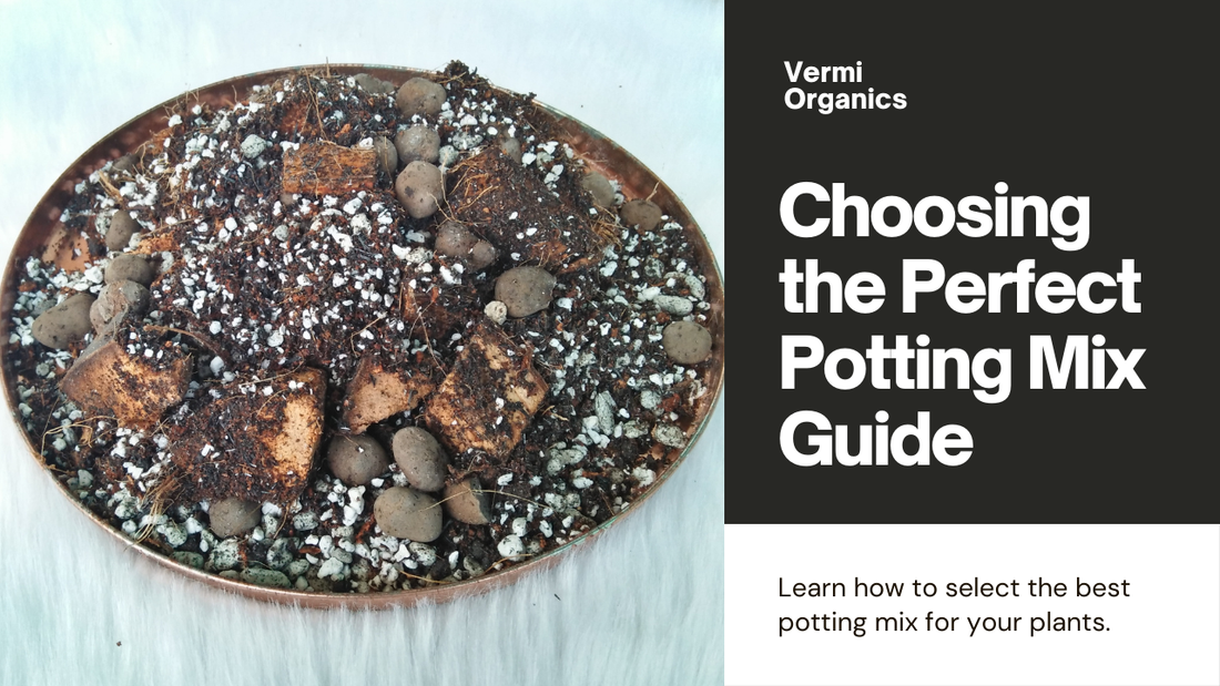 How to Choose the Right Potting Mix