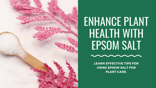 How to Use Epsom Salt for Plant Health