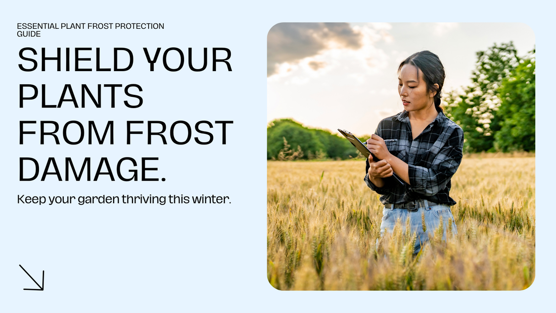 How to Protect Plants from Frost