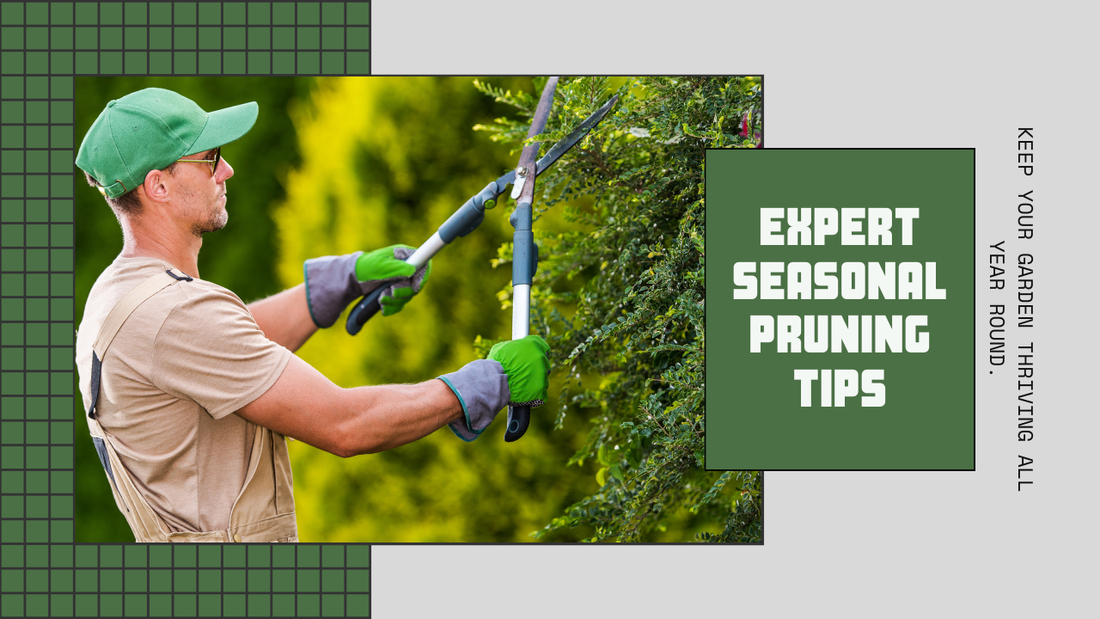 Seasonal Pruning Tips