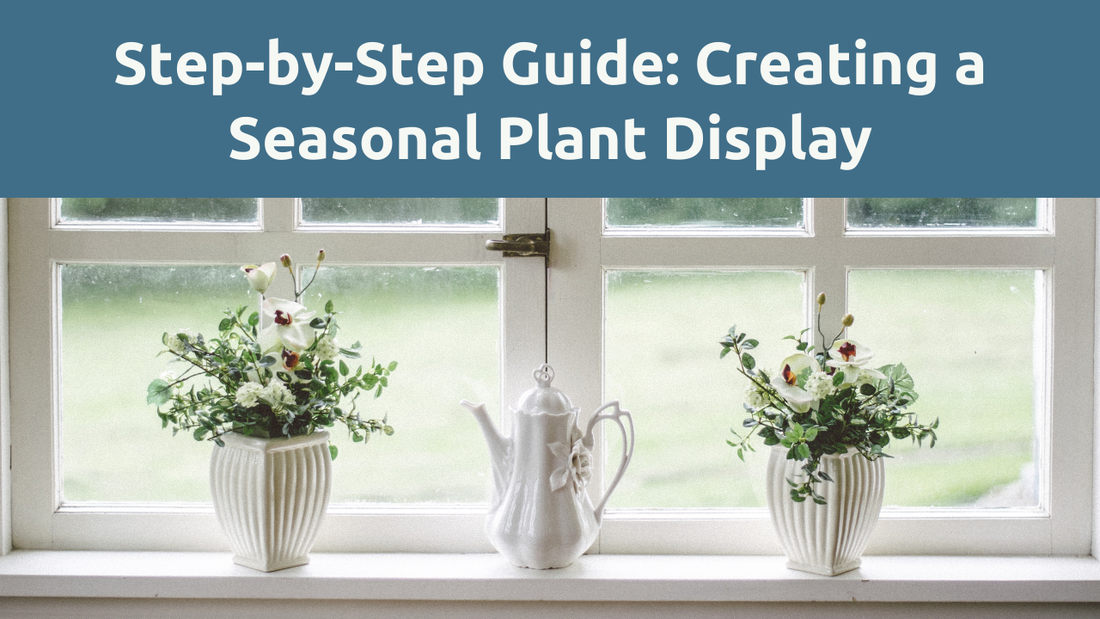 How to Create a Seasonal Plant Display