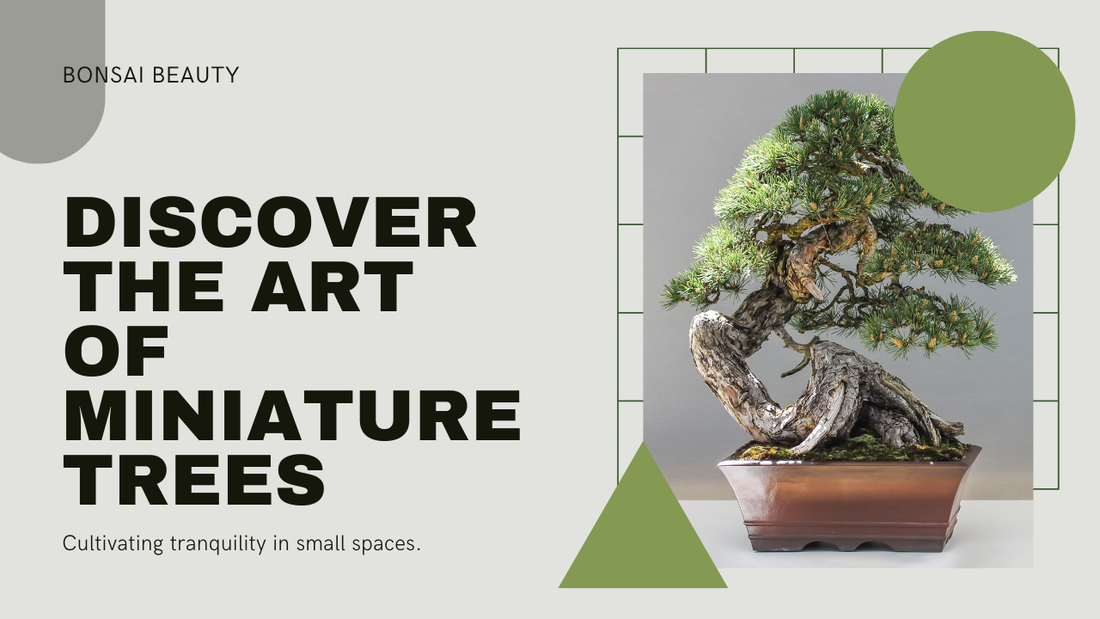 The Magic of Bonsai Trees