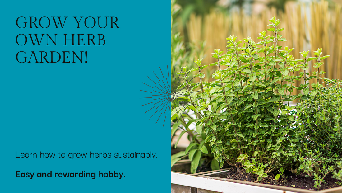 Creating a self-sustaining herb garden