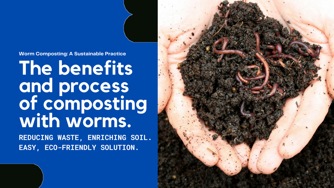 Worm Power: The Benefits and Process of Composting with Worms