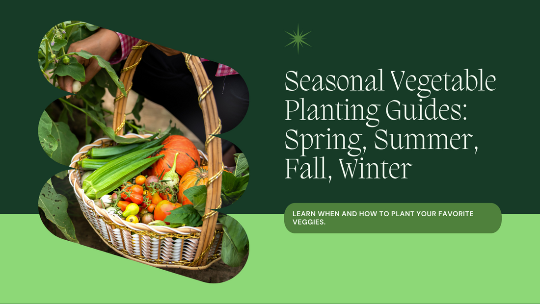 Seasonal vegetable planting guides (Spring, Summer, Fall, Winter)