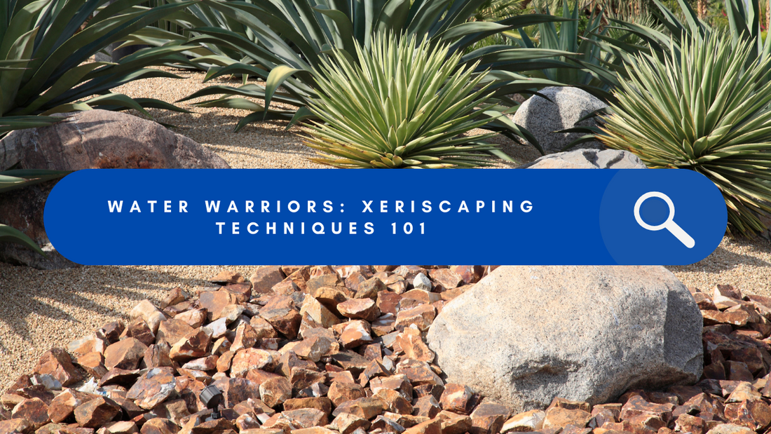 Water Warriors: Xeriscaping Techniques for a Drought-Tolerant Garden