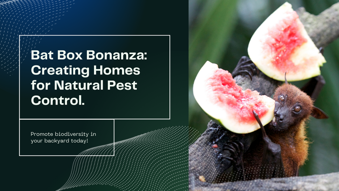 Bat Box Bonanza: Provide a Safe Haven for Natural Pest Control