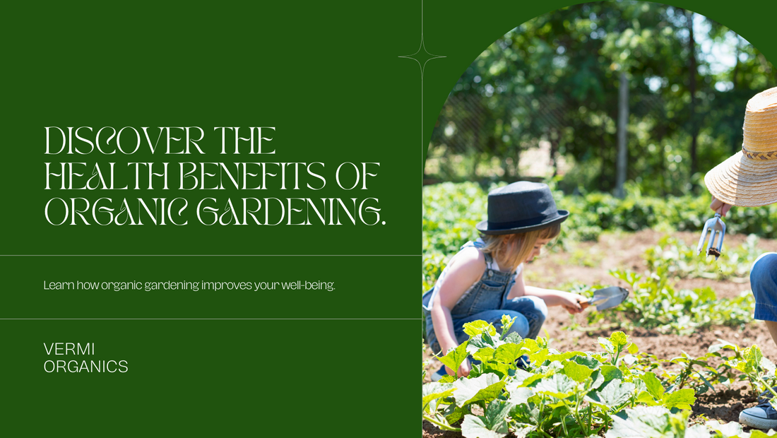 Healthy Soil, Healthy You: The Benefits of Organic Gardening for Your Health