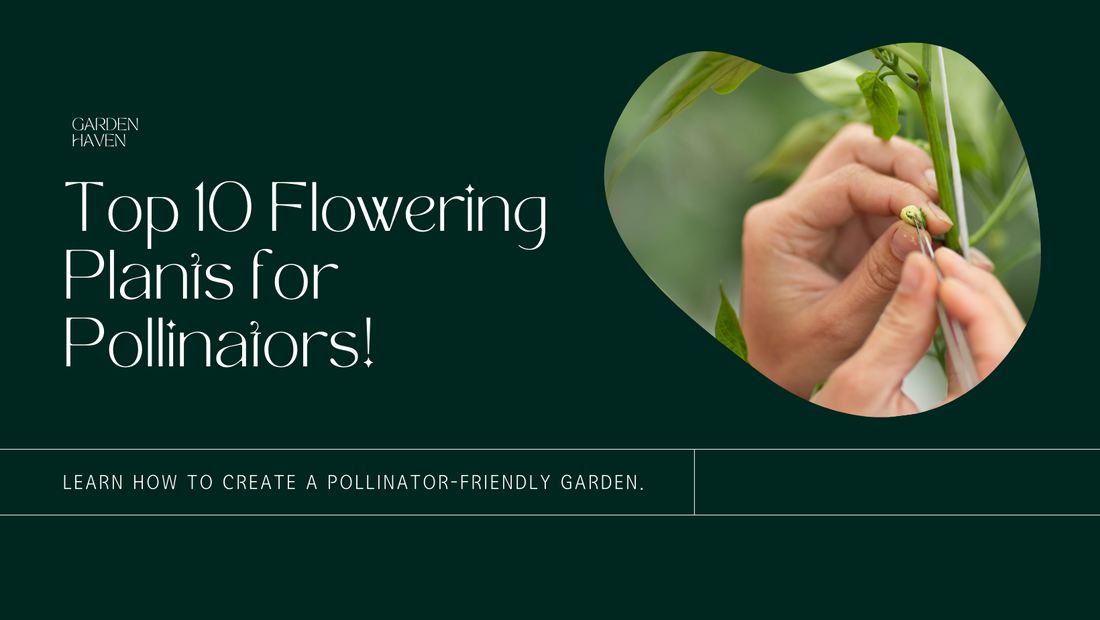 Top 10 flowering plants to attract pollinators