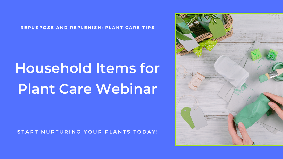 Repurpose and Replenish: Using Household Items for Plant Care