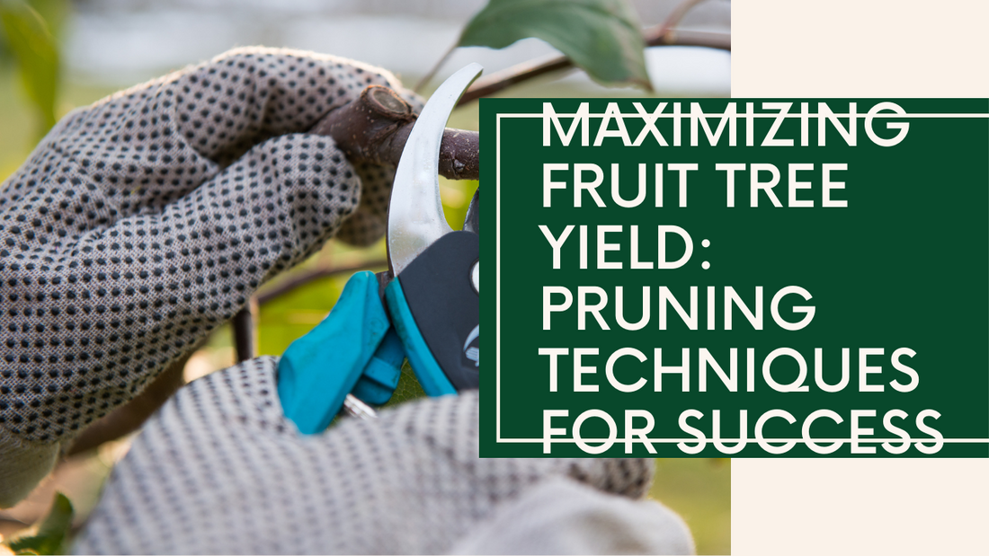 Fruitful Future: Pruning Fruit Trees for Optimal Yield