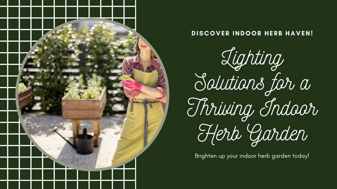 Indoor Herb Haven: Lighting Solutions for a Thriving Indoor Herb Garden