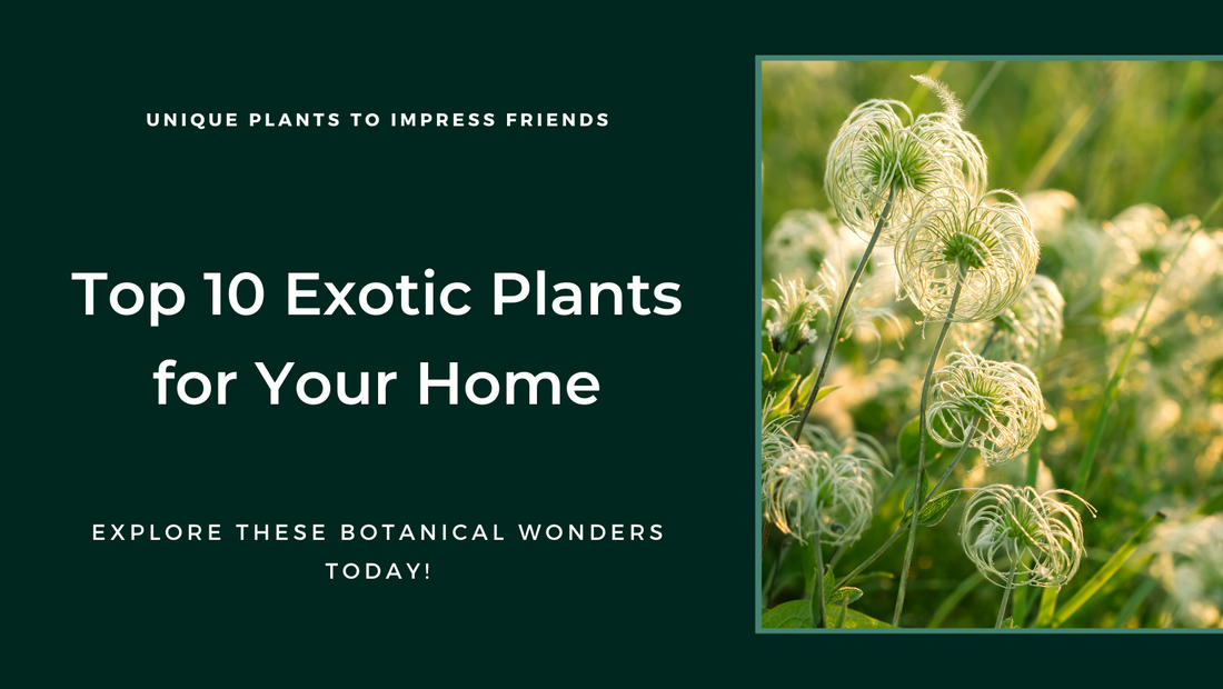 Top 10 unique and unusual plants to impress your friends