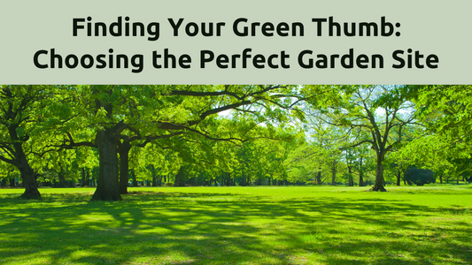 Finding Your Green Thumb: Choosing the Right Garden Site for Success