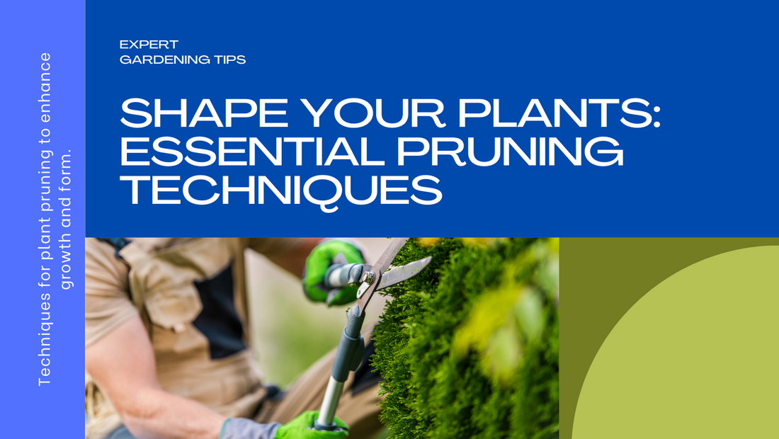 Plant pruning techniques to encourage growth and shape