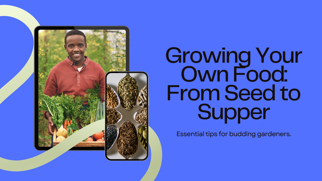 From Seed to Supper: A Beginner's Guide to Growing Your Own Food