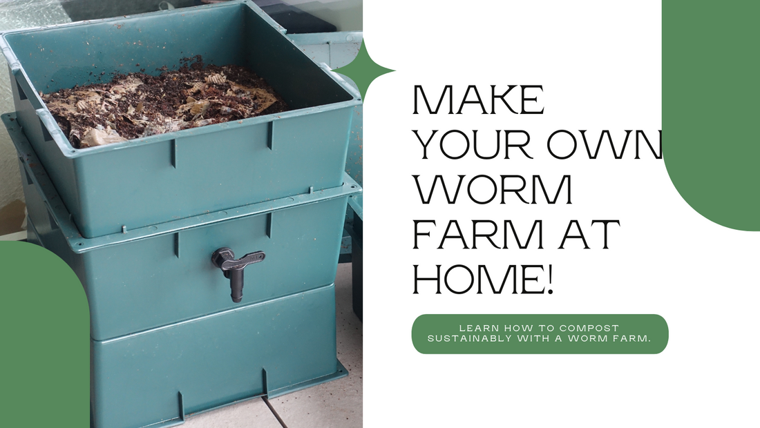 How to create a worm farm for sustainable composting at home