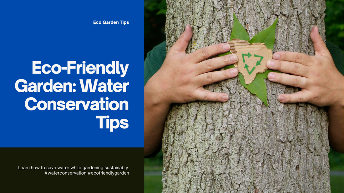 Water conservation tips for an eco-friendly garden