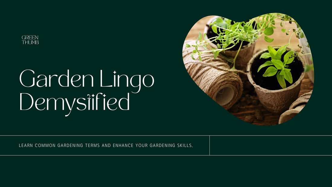 Garden Lingo: Understanding Common Gardening Terminology