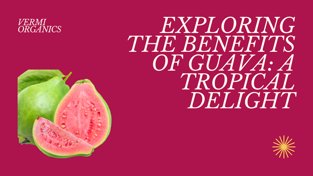 Reasons Why You Should Love Guava