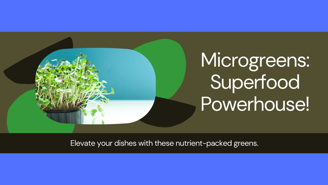 Microgreens on the Move: The Superfood Powerhouse for Your Kitchen