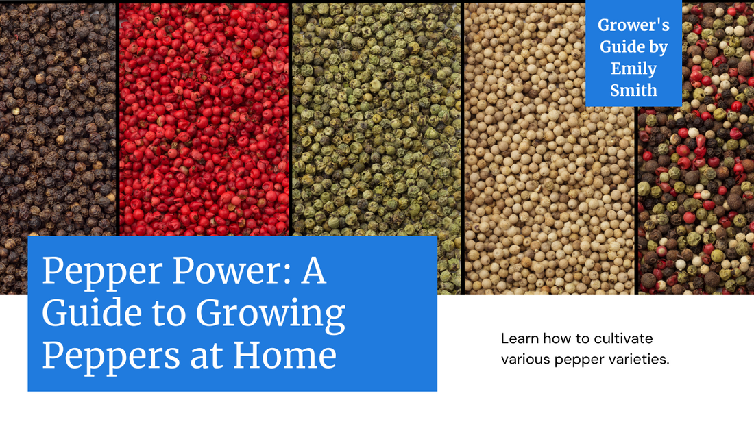 Pepper Power: Growing Peppers of All Kinds in Your Kitchen Garden