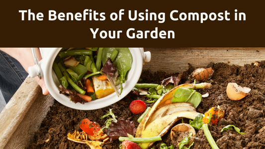 How Does Using Compost Benefit Your Garden?