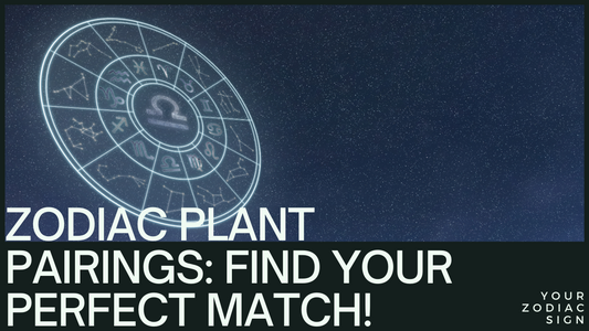 Zodiac Jungle: Find the Perfect Plant Based on Your Zodiac Sign