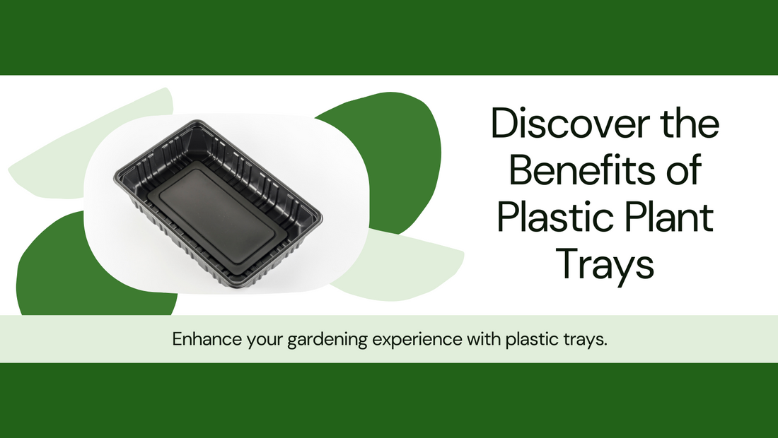 Unveiling the Benefits of Plastic Trays for Plants