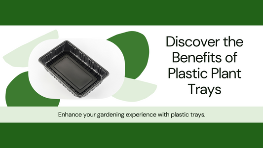 Unveiling the Benefits of Plastic Trays for Plants