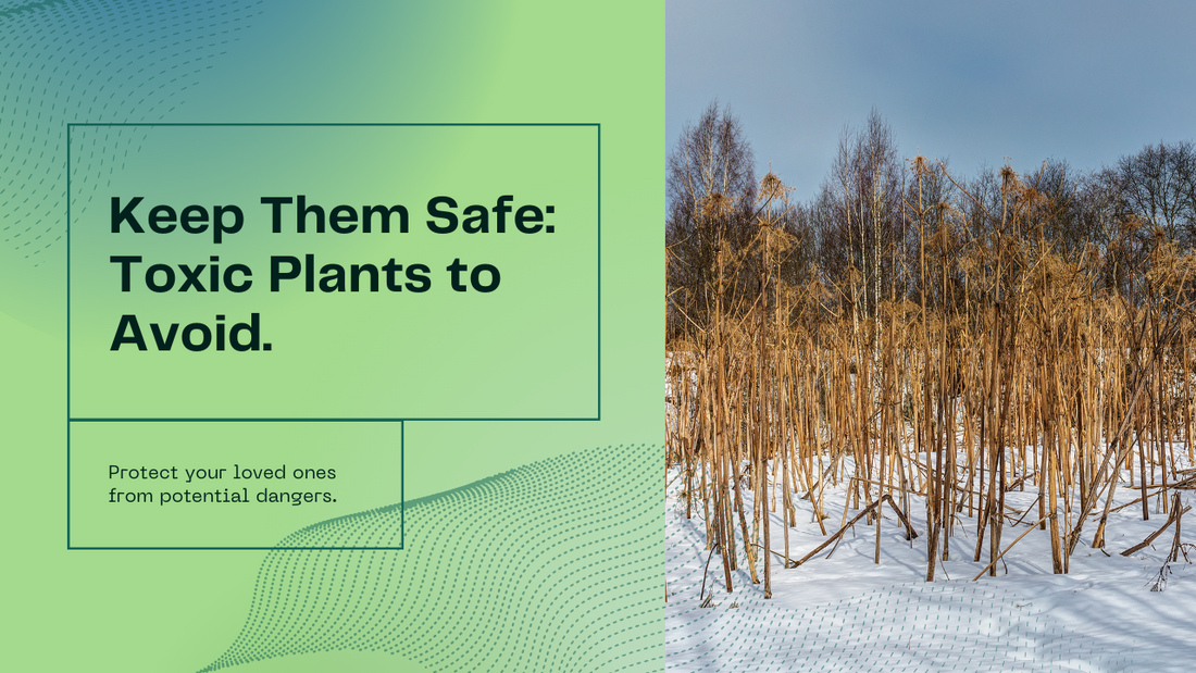 Keep Them Safe: Toxic Plants to Avoid Around Pets and Children
