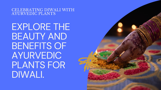 Diwali and Ayurvedic Plants: Natural Remedies for Seasonal Ailments