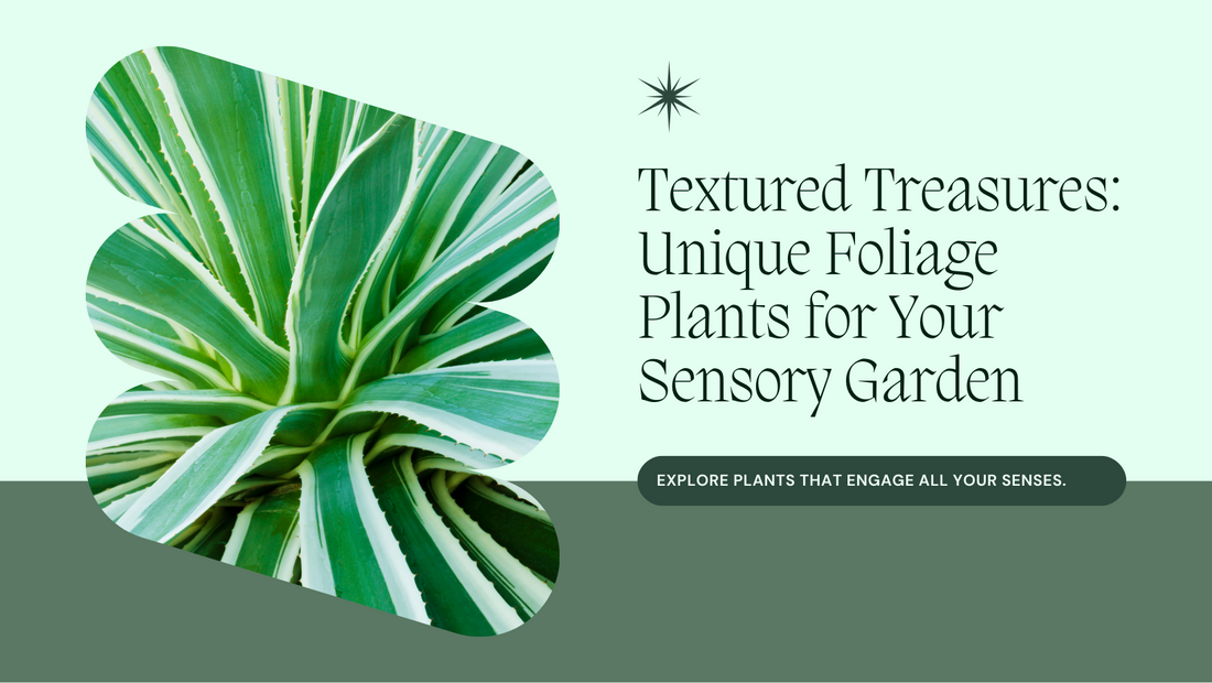 Textured Treasures: Plants with Unique Foliage for a Sensory Garden