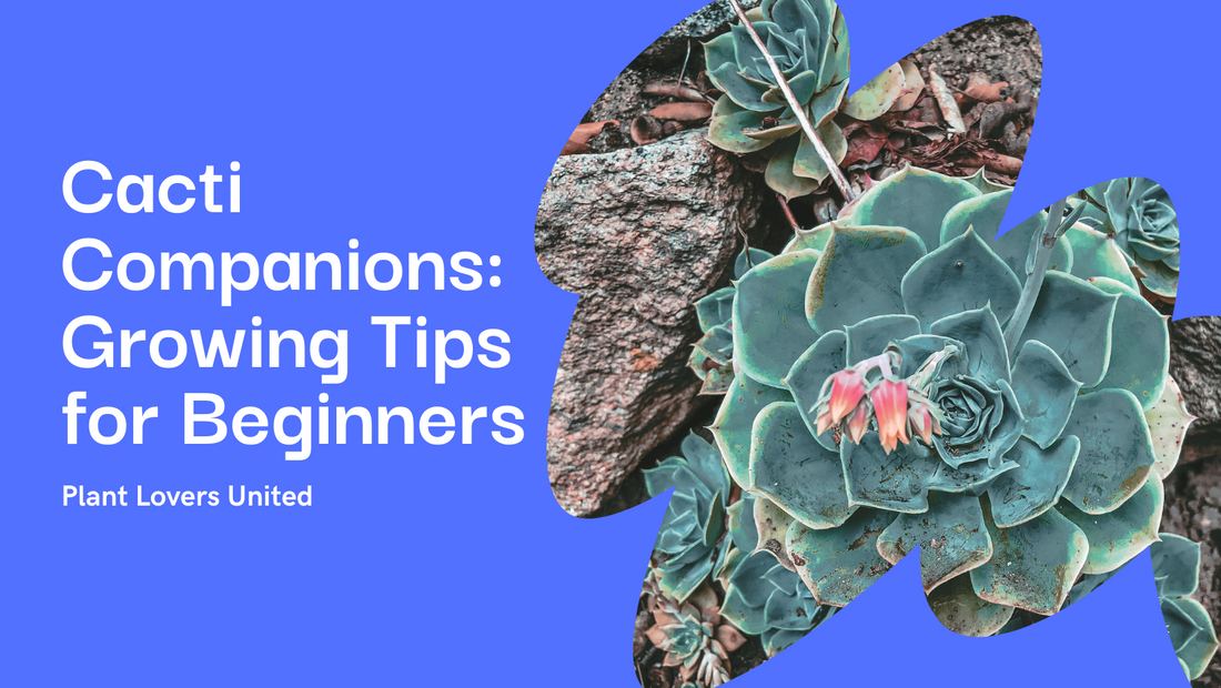 Cacti Companions: A Beginner's Guide to Growing Cacti and Succulents