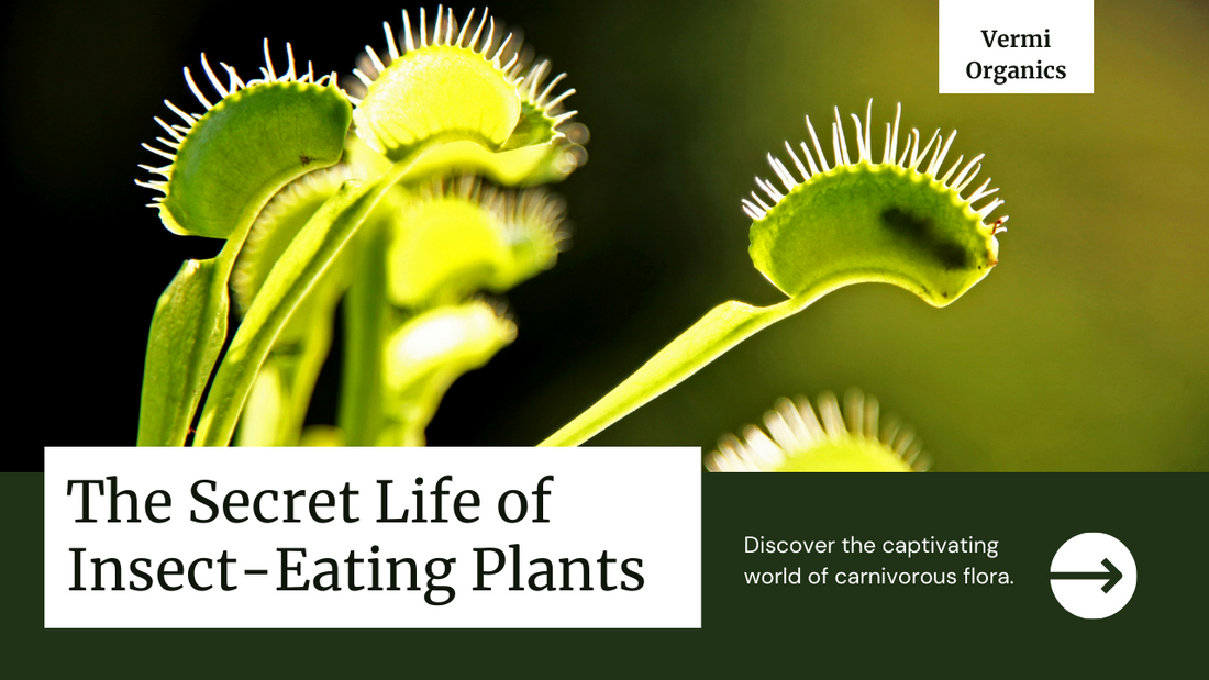 Unveiling the Fascinating World of Insectivorous Plants