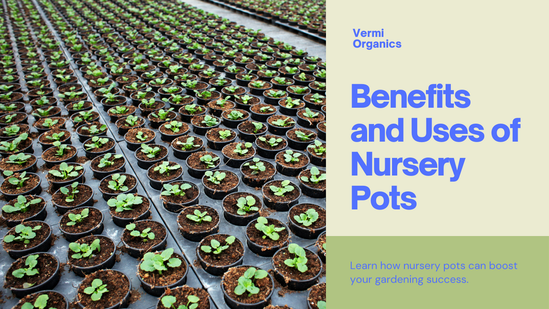 Green Thumb's Secret Weapon: Benefits and Uses of Nursery Pots