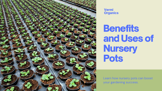 Green Thumb's Secret Weapon: Benefits and Uses of Nursery Pots