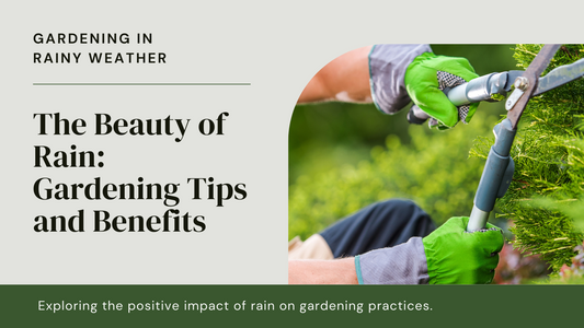 The Therapeutic Effects of Gardening in Rainy Weather