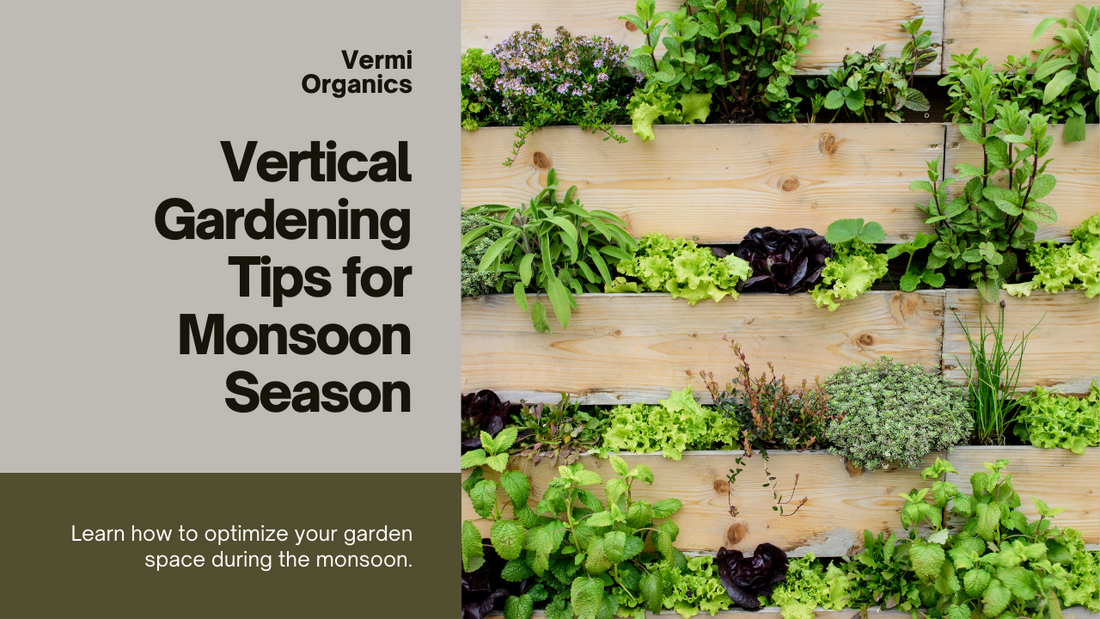 Vertical Gardening in the Monsoon: Maximising Space and Greenery