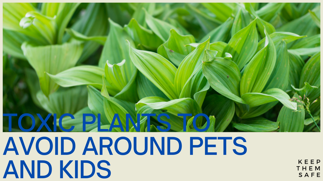 Keep Them Safe: Toxic Plants to Avoid Around Pets and Children