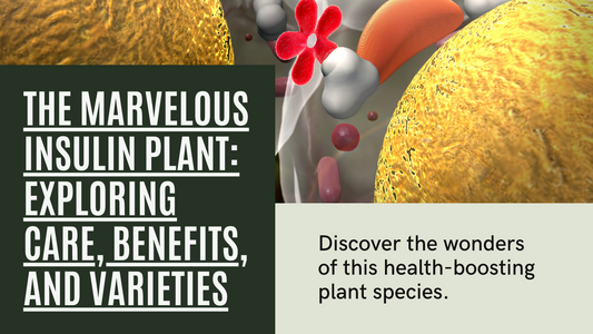 Unveiling the Marvelous Insulin Plant: Care, Benefits, and Varieties