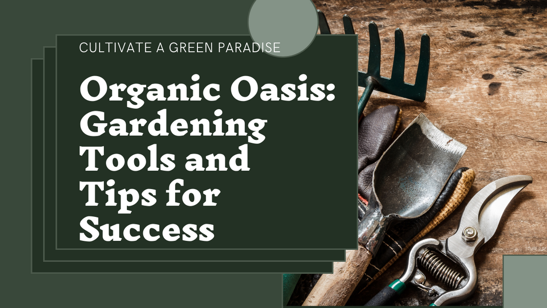 Organic Oasis: Essential Tools and Equipment for Successful Organic Gardening