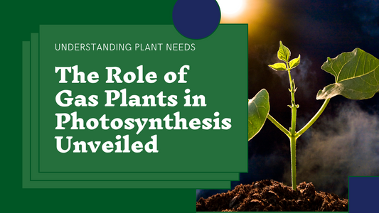 The Gas Plants Need for Photosynthesis: Unveiling its Importance