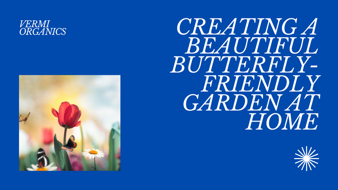 How to Create a Butterfly Garden