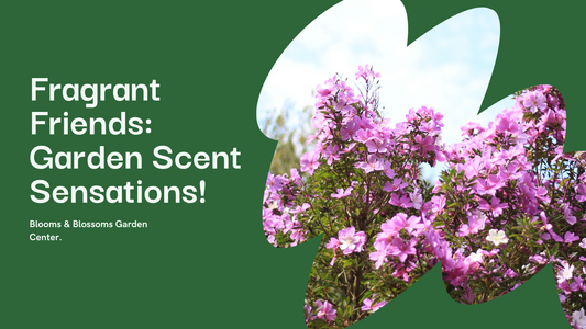 Fragrant Friends: Unforgettable Scents for Your Garden with These Plants