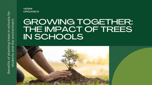 Advantages of Planting Trees in Schools: Benefits for Students and Environment