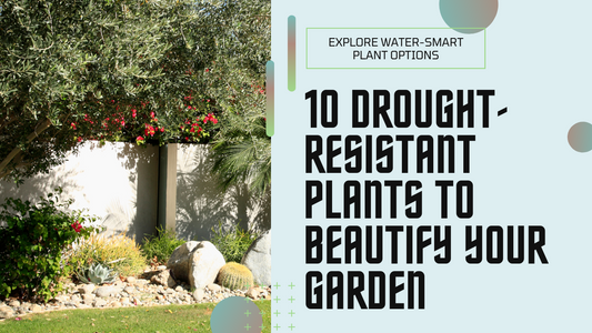 10 Drought-Resistant Plants: Enhancing Your Garden with Water-Smart Choices