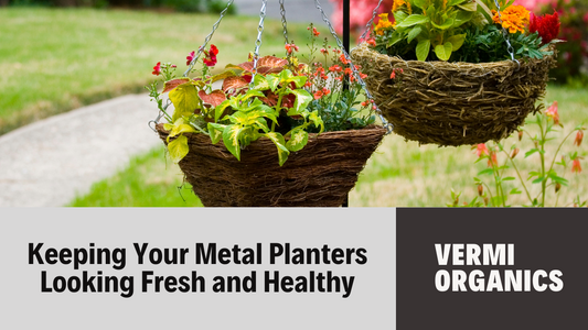 How to Maintain and Care for Your Metal Planters