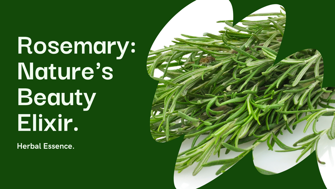 Rosemary: A Fragrant Elixir of Beauty and Benefits